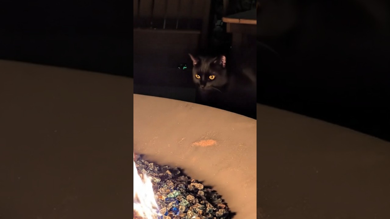 Brampton 1860 Inn Review - Chestertown, Maryland #hotelreview #maryland #easternshore