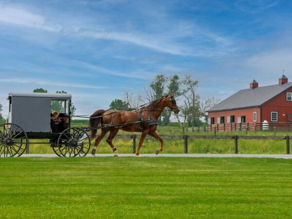 Issues To Do In Amish Nation – Lancaster, PA