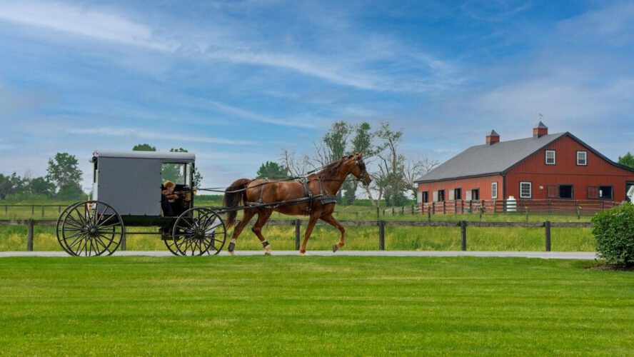 Issues To Do In Amish Nation – Lancaster, PA