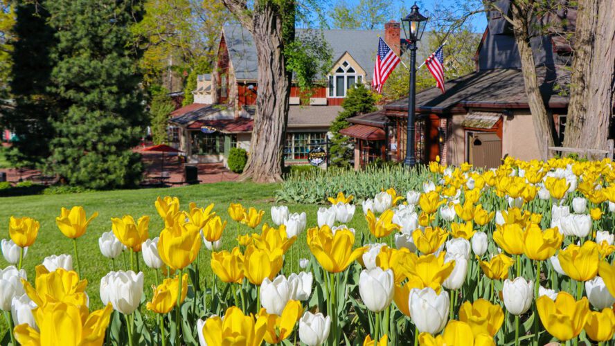 Rejoice The Strawberry Pageant At Peddler’s Village