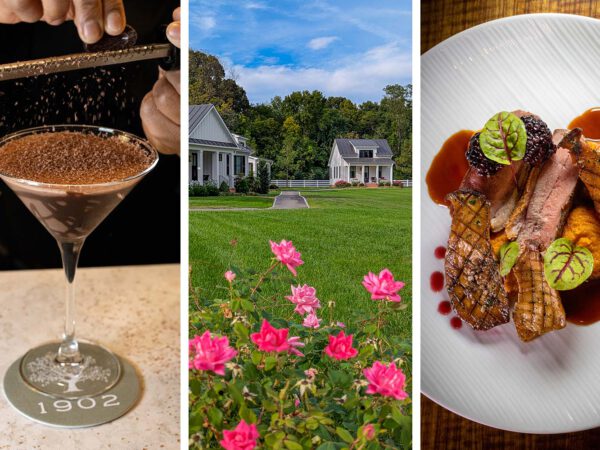 The Oaks Waterfront Lodge Overview: Japanese Shore Luxurious