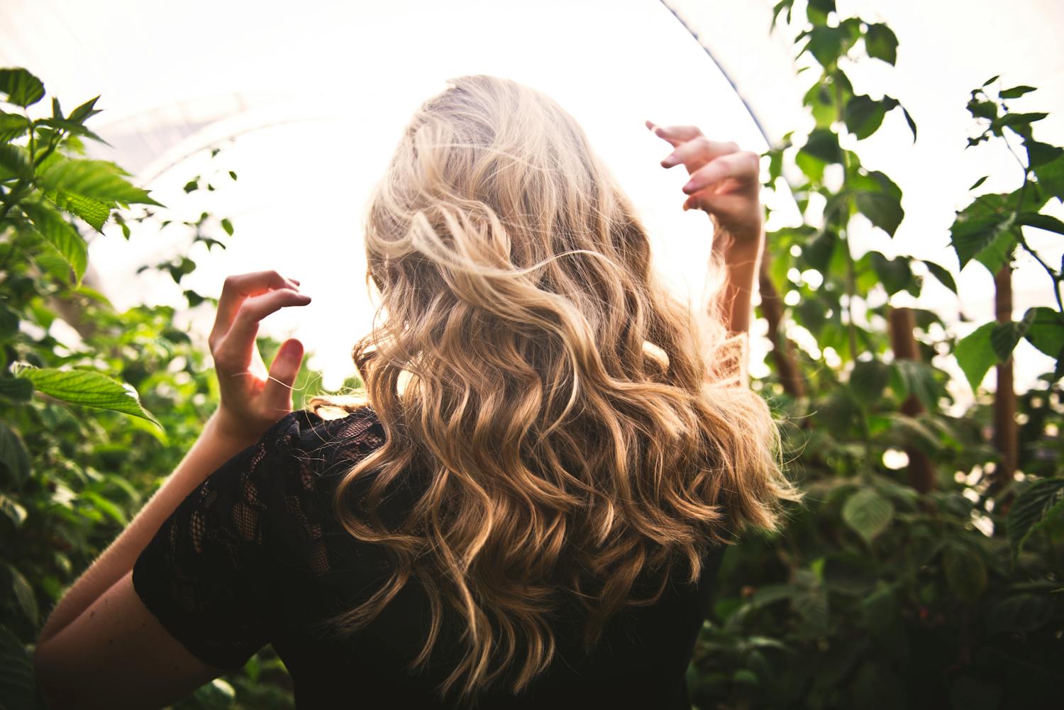 From Roots to Ideas: A Full Information to Beautiful Hair Care