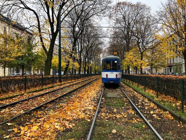 Solo Journey Ideas: Krakow, Poland