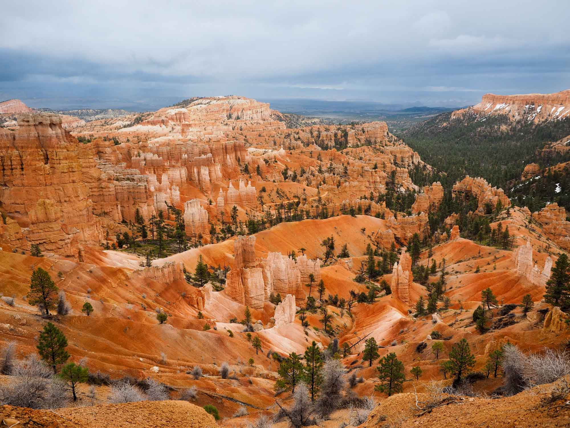 Visiting Nationwide Parks Throughout a Authorities Shutdown: Can You? Ought to You?