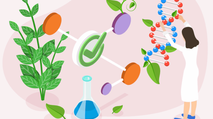 What Are Biosimilars? – HealthyWomen