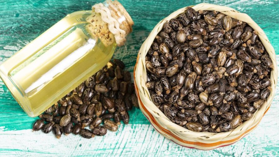 Is Castor Oil Protected and Efficient?