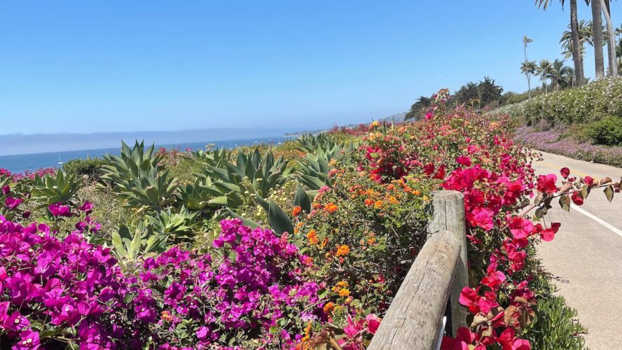 The place to Keep, Eat, & Store