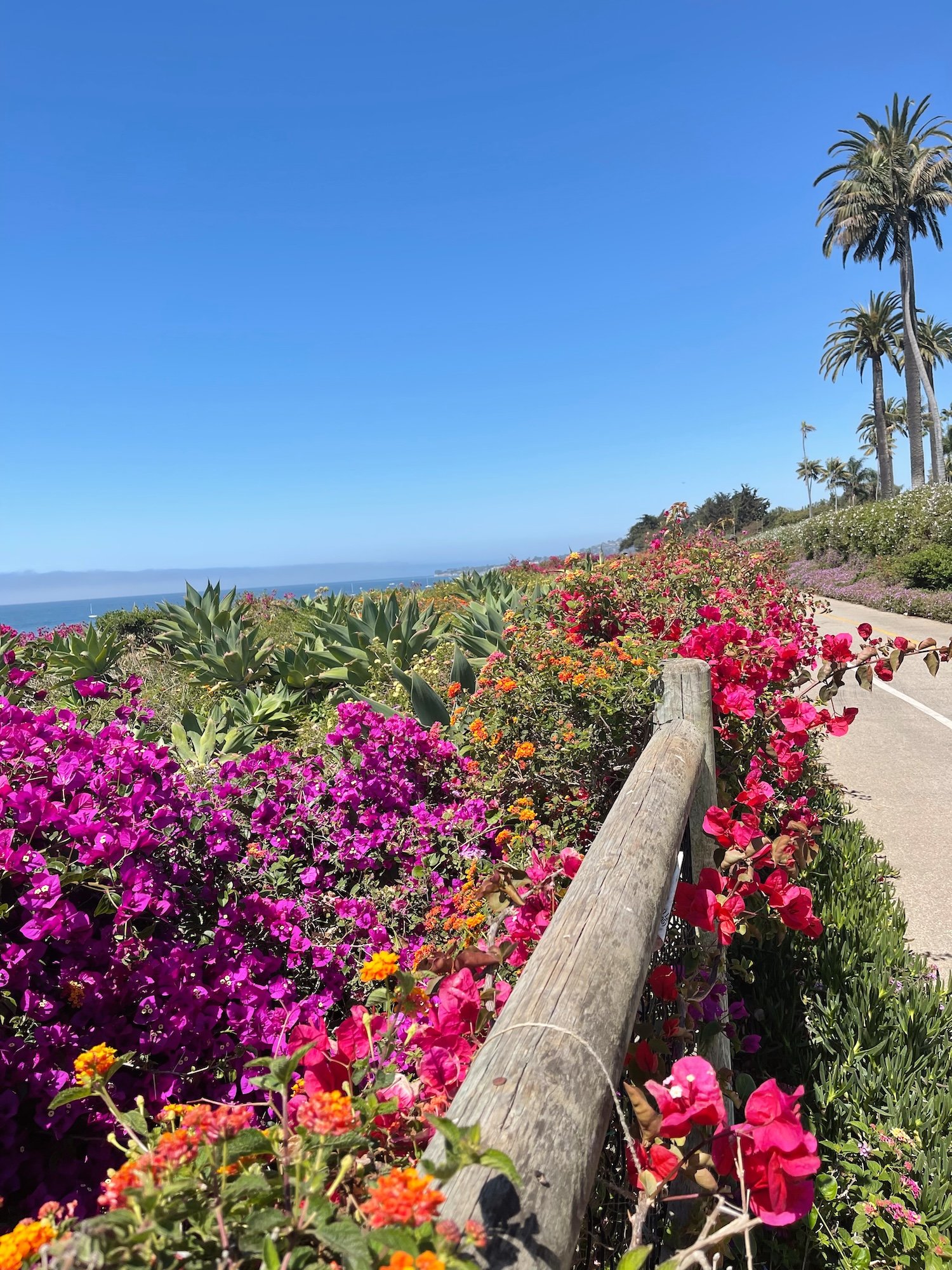 The place to Keep, Eat, & Store