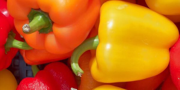 Finest Meals for Wholesome Pores and skin: How Vitamin Impacts Getting older and Glow