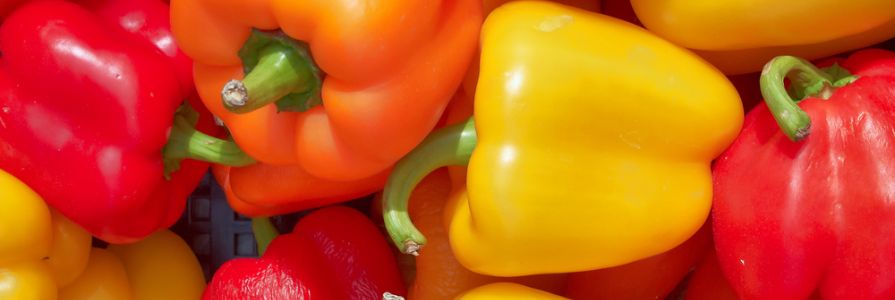 Finest Meals for Wholesome Pores and skin: How Vitamin Impacts Getting older and Glow