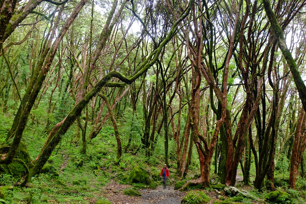 Poon Hill Trek Nepal