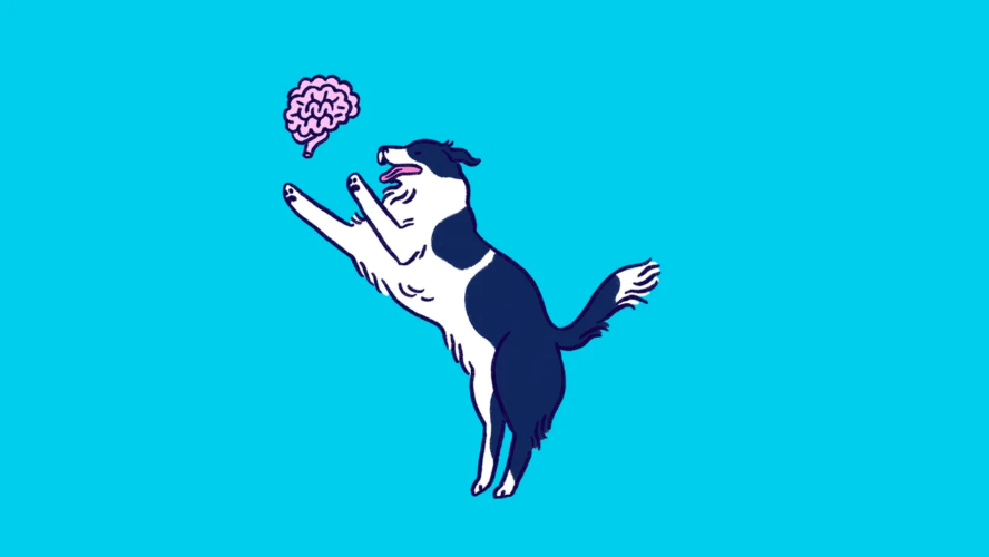 Find out how to Reclaim Your Thoughts