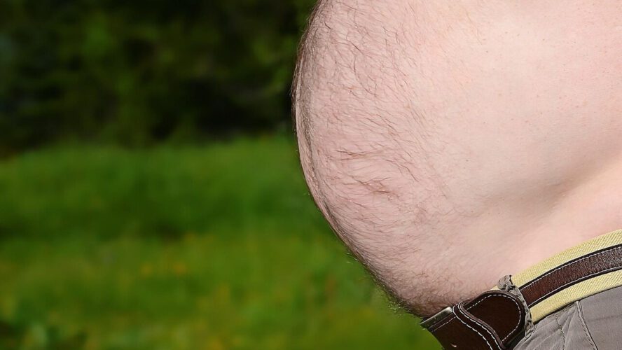 Visceral Fats: A Well being Threat and The best way to Get rid of Harmful Stomach Fats