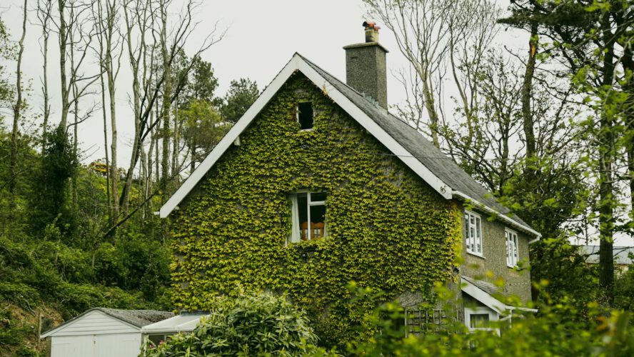 4 Necessities to Concentrate on When Shopping for a Vacation Rental