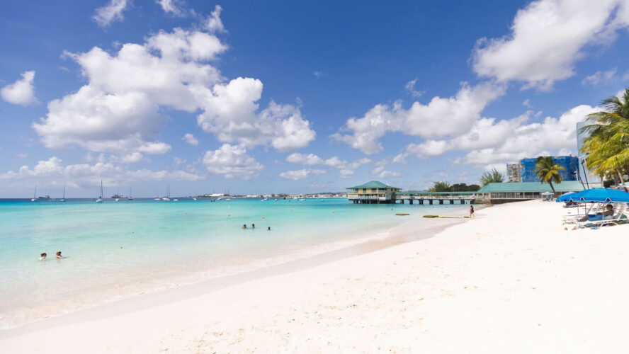 The Finest Issues to do in Barbados