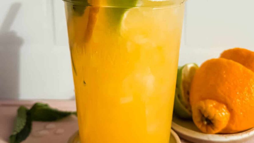 Coconut Citrus Nature’s Gatorade – Match Foodie Finds