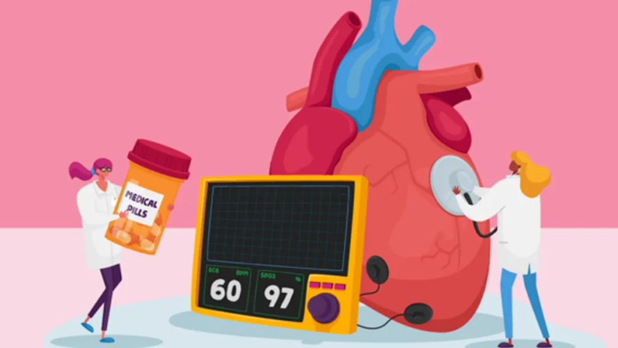 6 Coronary heart Well being Numbers and cardiovascular danger
