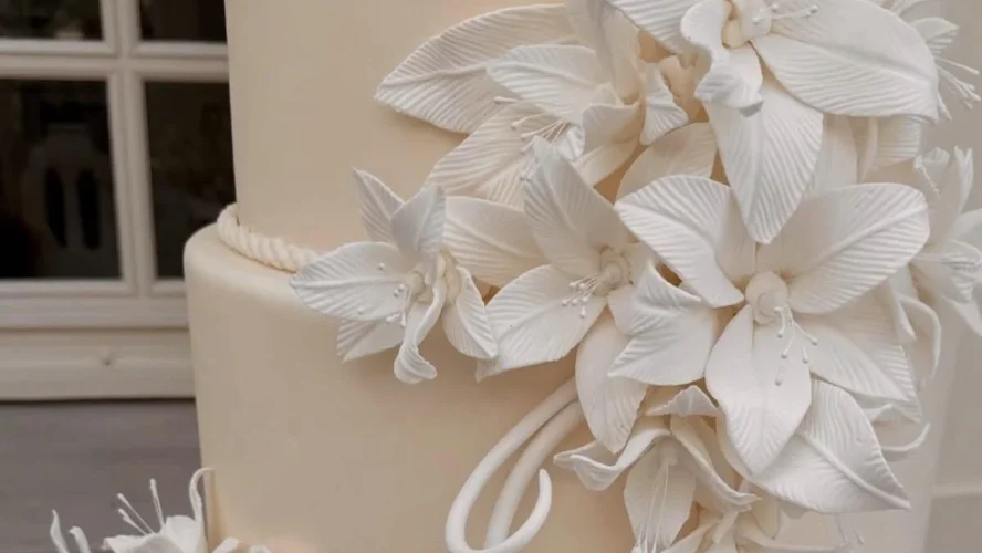 Charles Leclerc’s Wedding ceremony Cake Options His Canine In A Whimsical And Cute Element