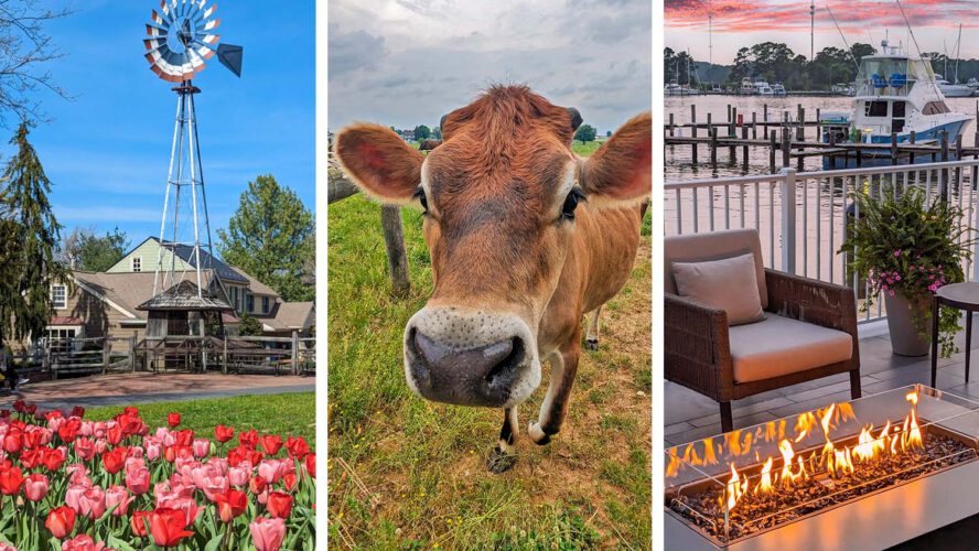 15 Hidden East Coast Cities Excellent for Sluggish Journey (2026)