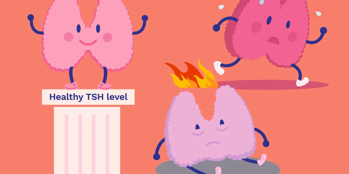 Thyroid Lab Outcomes – HealthyWomen