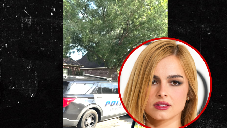 Cops Known as to Addison Rae’s Dad’s Dwelling, Automobiles Lined Up Exterior, on Video