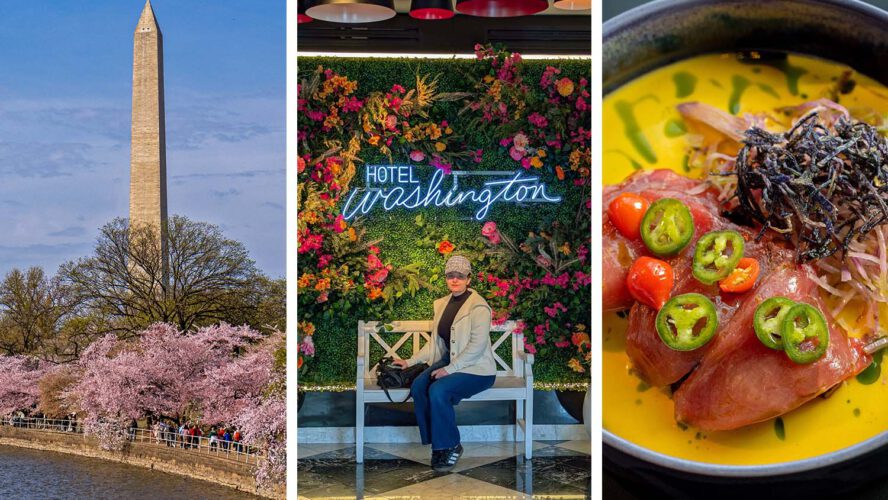 Lodge Washington Evaluate: DC Cherry Blossom Season Information