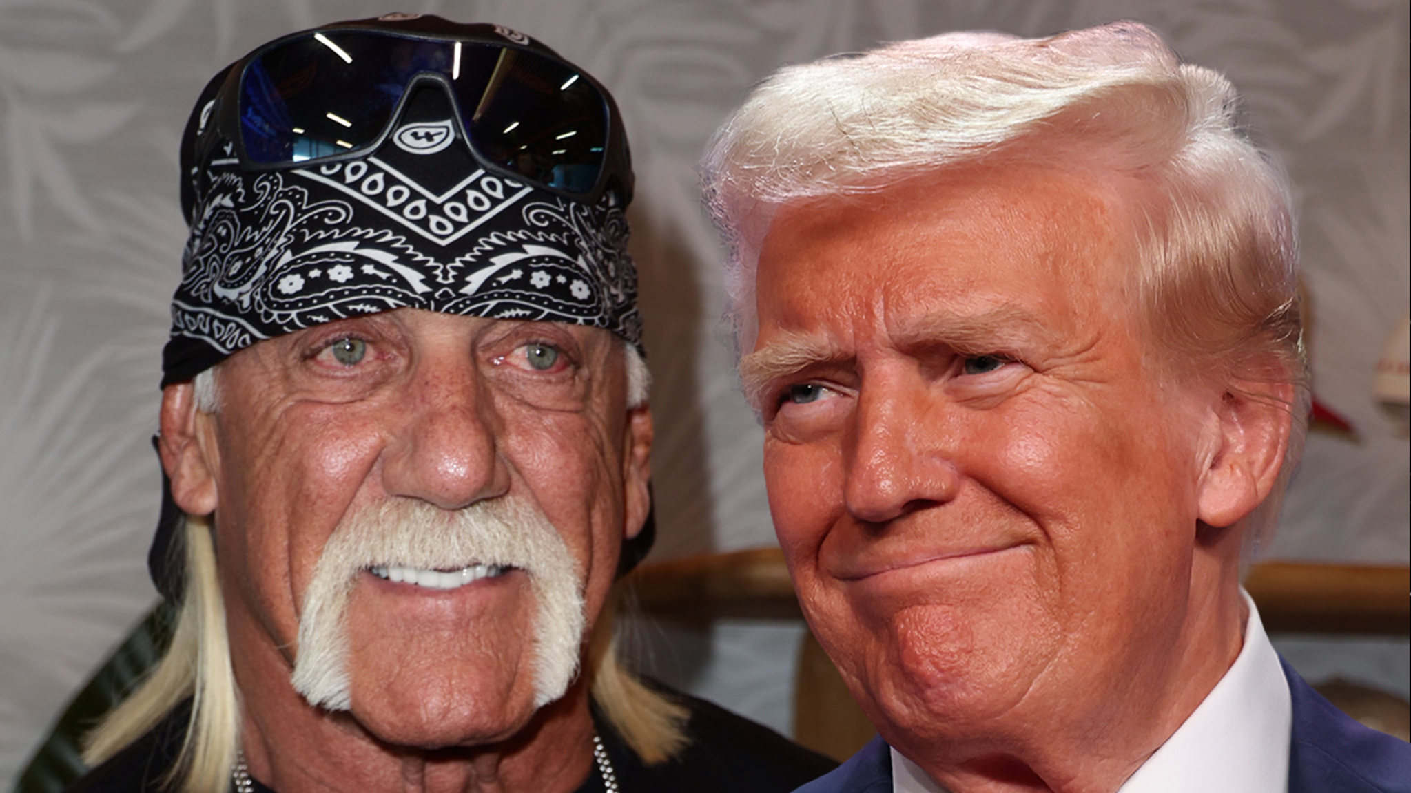 Hulk Hogan Satisfied Trump To Sit Down For Netflix Doc Earlier than Demise, Director Says