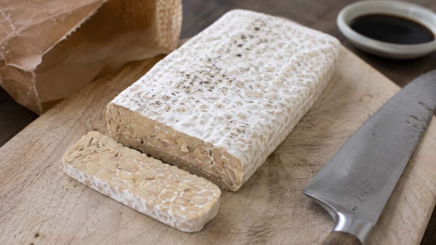 Does Tempeh Go Dangerous? The whole lot You Want To Know