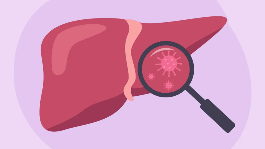 Details About Liver Illness – HealthyWomen