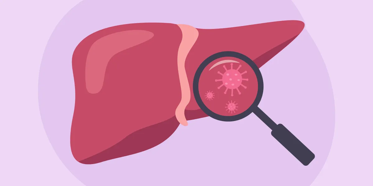 Details About Liver Illness – HealthyWomen