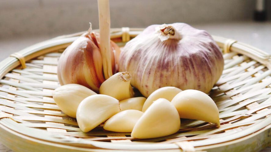 Does Garlic Go Dangerous? Shelf Life by Sort and Spoilage Indicators