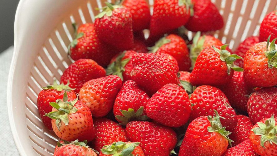 Wash Strawberries (Most Folks Get One Step Fallacious)