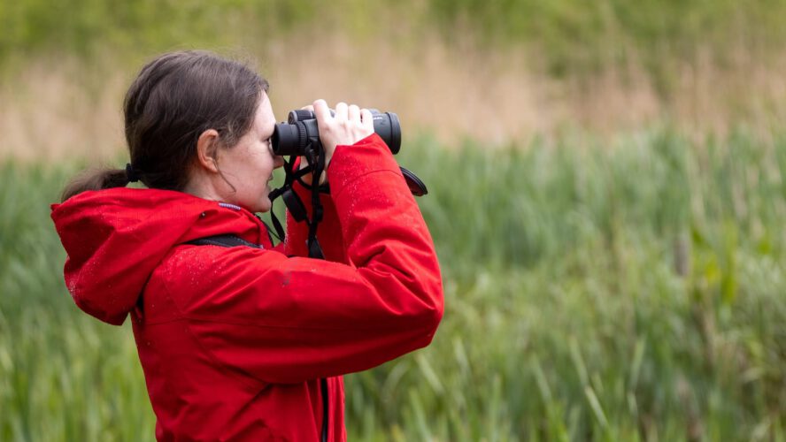 The Greatest Binoculars for Birdwatching: My 2026 Picks