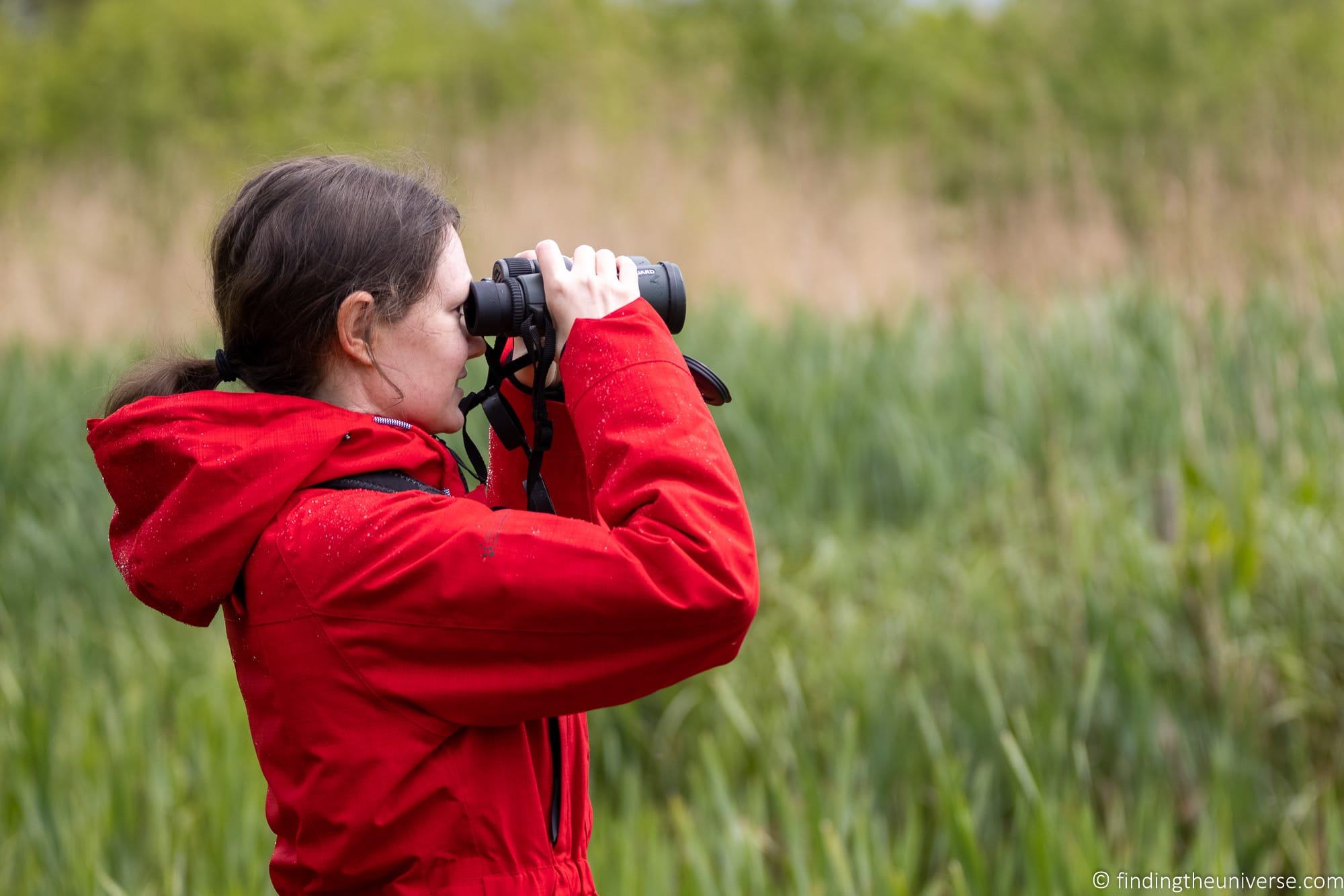 The Greatest Binoculars for Birdwatching: My 2026 Picks