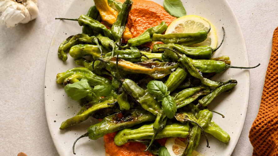 Shishito Peppers with Romesco Are the Finest Summer season Appetizer