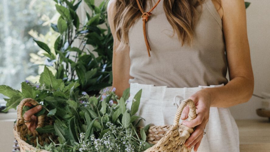 Tips on how to Use Summer season Herbs: 30+ Recipes and Artistic Concepts