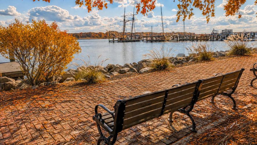 Fall 2026 on Maryland’s Jap Shore: Greatest Season But
