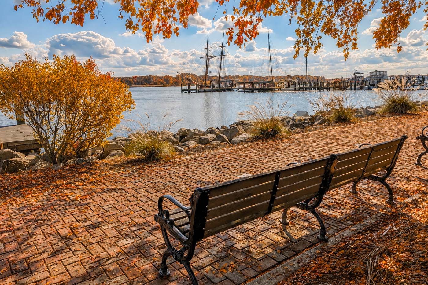 Fall 2026 on Maryland’s Jap Shore: Greatest Season But
