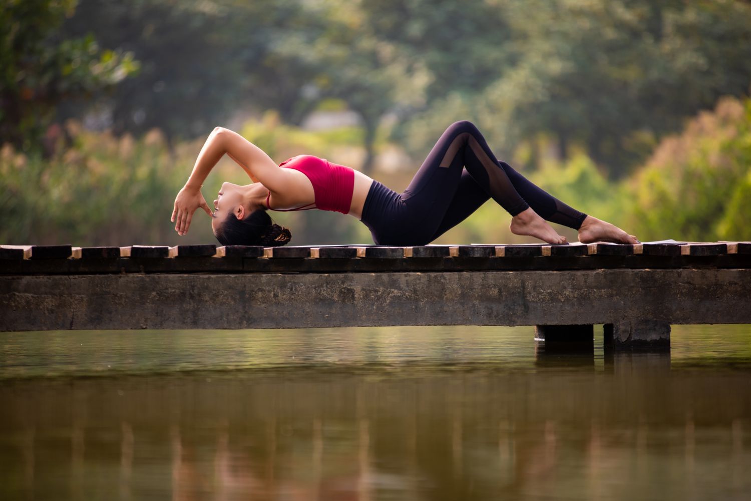 The way to Construct a Wellness Routine You will Really Stick With