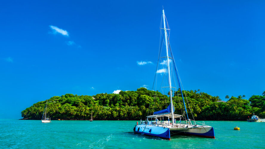 Learn how to Select the Proper Catamaran for Sale: A Purchaser’s Information