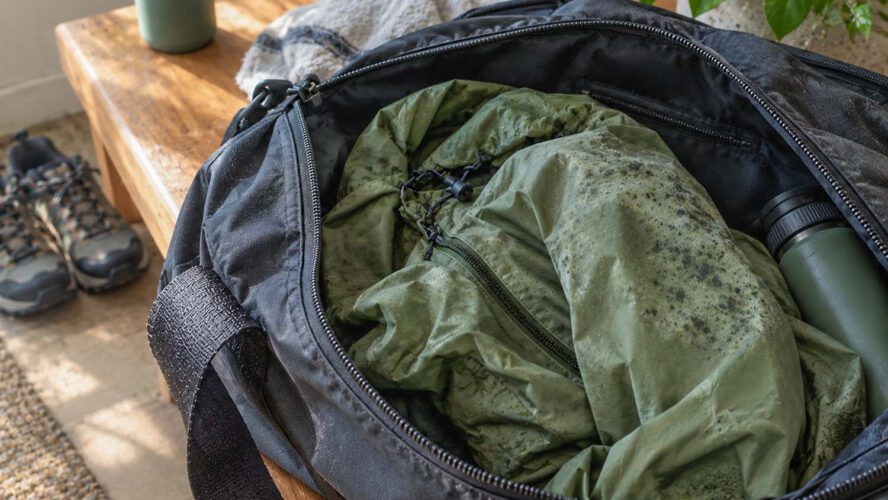 The way to Get Mildew Out of Garments. 4 Methods That Work
