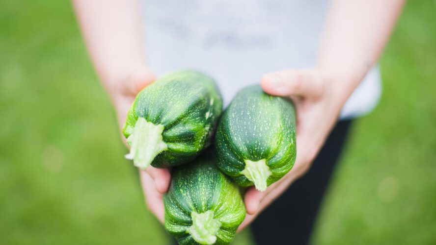What to Do With Too Many Zucchini: 10 Methods to Use It Up