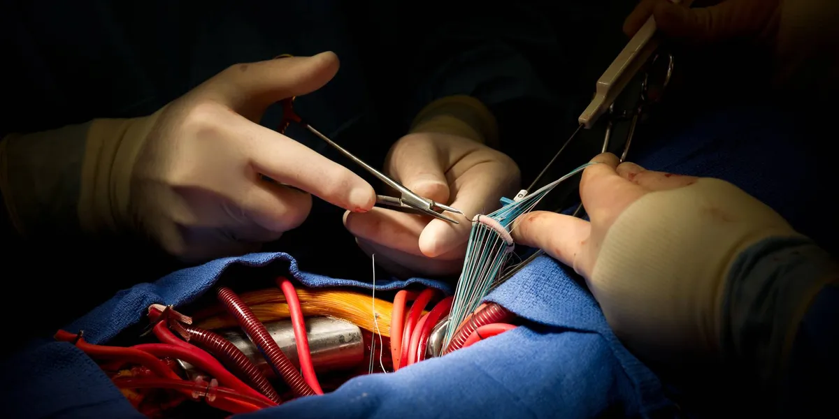 Coronary heart Valve Illness: Signs, Therapy and What Sufferers Ought to Know