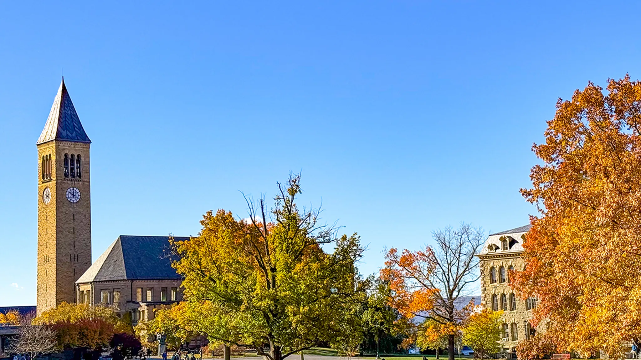 Cornell PD E mail Reveals Frustration with Officers Ignoring Frat Ingesting Violations