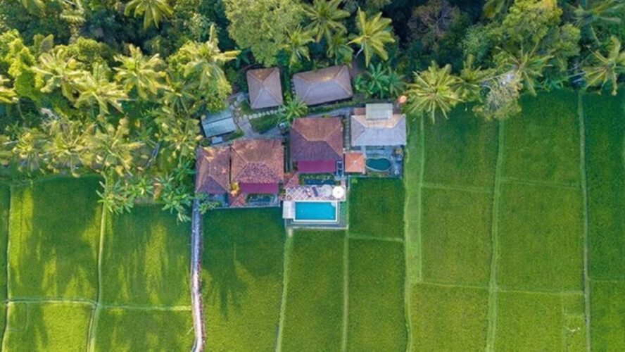 Going Solo to a Yoga Retreat in Ubud: What to Anticipate