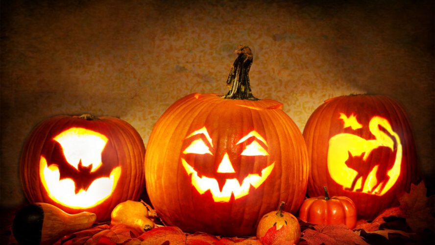 Learn how to Make Your Carved Pumpkin Final Longer: 6 Ideas
