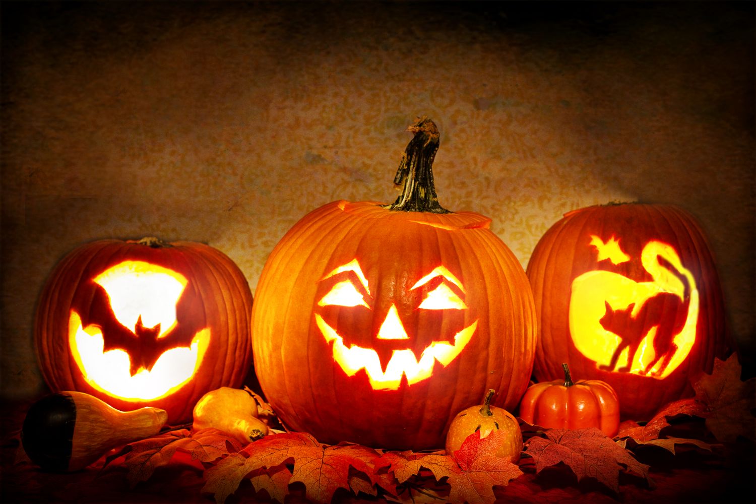 Learn how to Make Your Carved Pumpkin Final Longer: 6 Ideas
