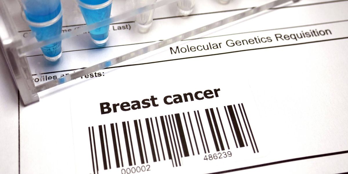 Information In regards to the Breast Most cancers Index Take a look at